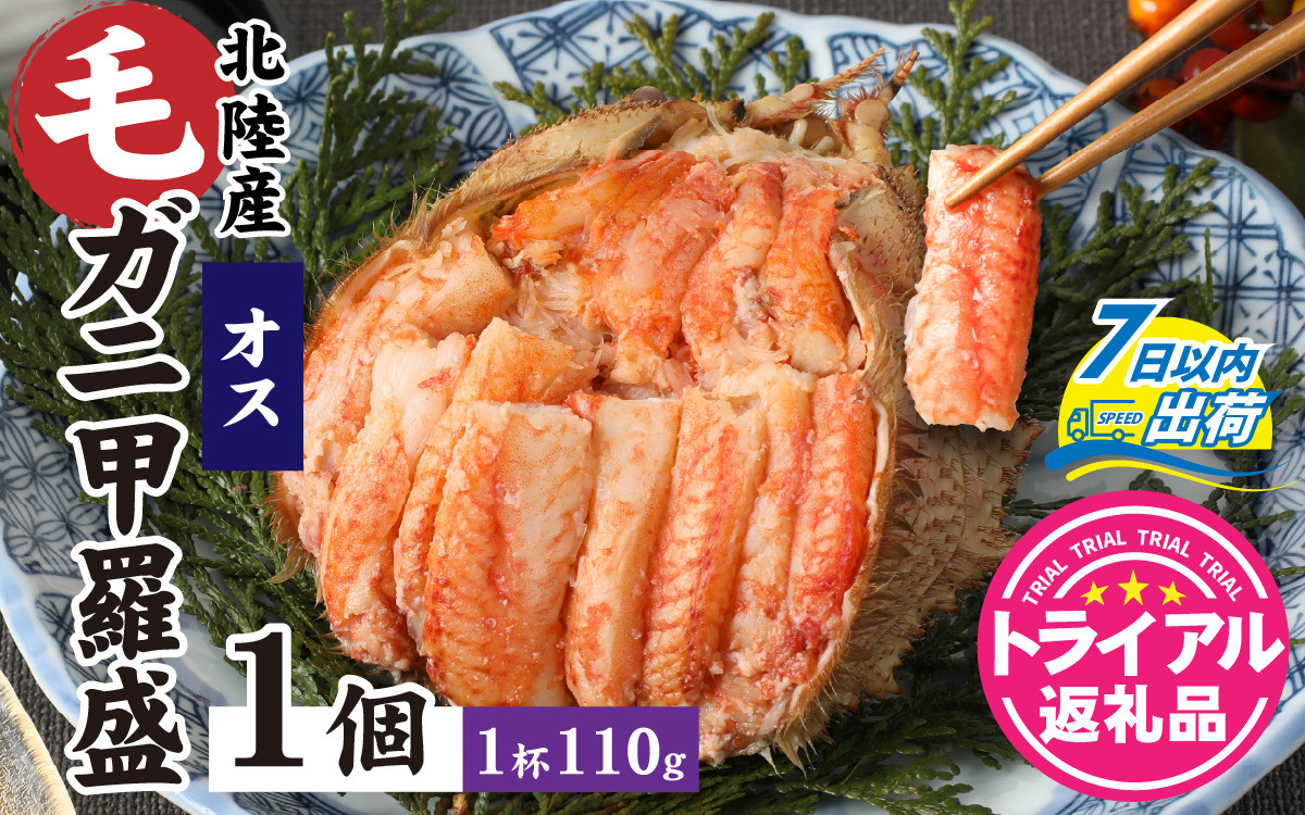 
            【トライアル返礼品】蟹好き集まれ！北陸産オス毛ガニ 甲羅盛【オス甲羅盛110ｇ前後】【訳あり】 [A-096007] / カニ 蟹 かに ケガニ 毛蟹 毛がに ゆで 茹で 茹でがに ボイル 甲羅盛 甲羅盛り 北陸産 石川 かに ガニ 蟹 専門店 冷凍 手軽 かに酢 カニ 国産 オス 雄 訳アリ ワケアリ 甲羅蟹 甲羅がに
          