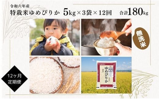 【定期便】【令和6年産】北海道産『特別栽培米 ゆめぴりか 無洗米 15kg×12ヶ月』日経トレンディ米のヒット甲子園 大賞受賞 5kg×3袋 毎月1回・計12回お届け 計180kg 定期便 単一原料米 特栽米 米 お米 白米 精米 こめ おこめ ごはん ご飯 送料無料 北海道 奈井江町