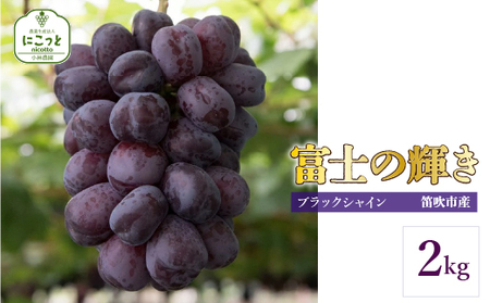 【2026年発送★先行予約】富士の輝き2キロ 097-017-26y