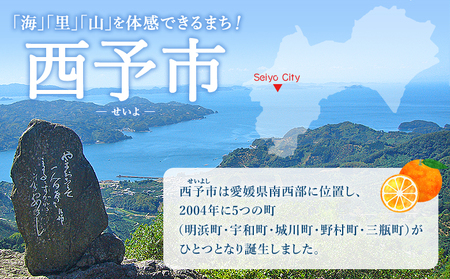 先行予約＜愛媛県明浜産 天晴みかん（温州みかん）約2kg＞ 家庭用 訳あり ワケアリ 自宅用 果物 くだもの フルーツ ミカン 柑橘 株式会社笑丸 食べて応援 特産品 産地直送 愛媛県 西予市【常温】