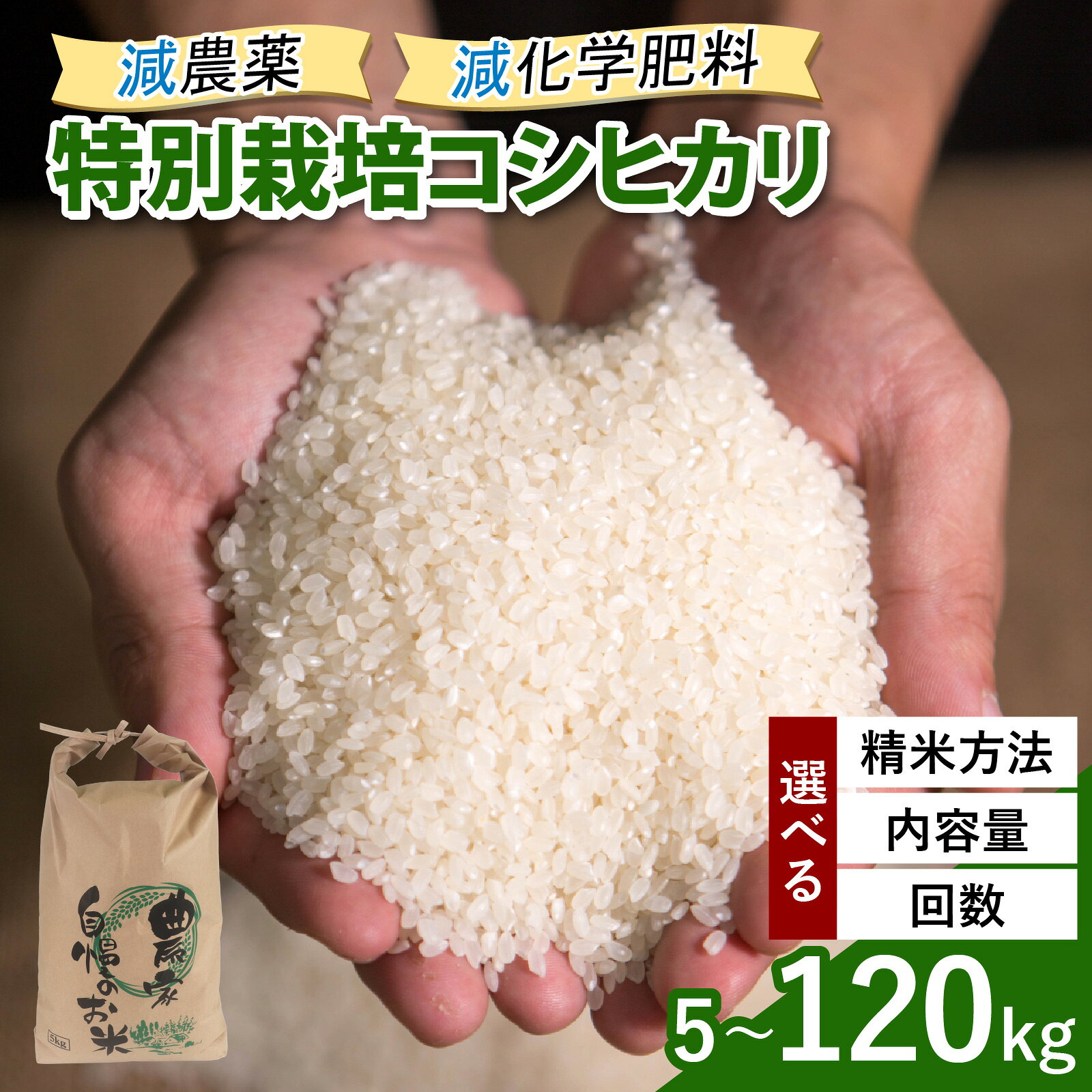 【ふるさと納税】【先行予約】【選べる精米方法・内容量・お届け回数】【令和8年産　新米】減農薬・減化学肥料の特別栽培コシヒカリ 白米 玄米 定期便 農家直送 福井県大野市産 [M-004001] | お米 特別栽培 コシヒカリ 白米