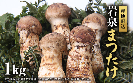 【2026秋発送】岩泉まつたけ 直送 1kg【配送不可地域：離島】