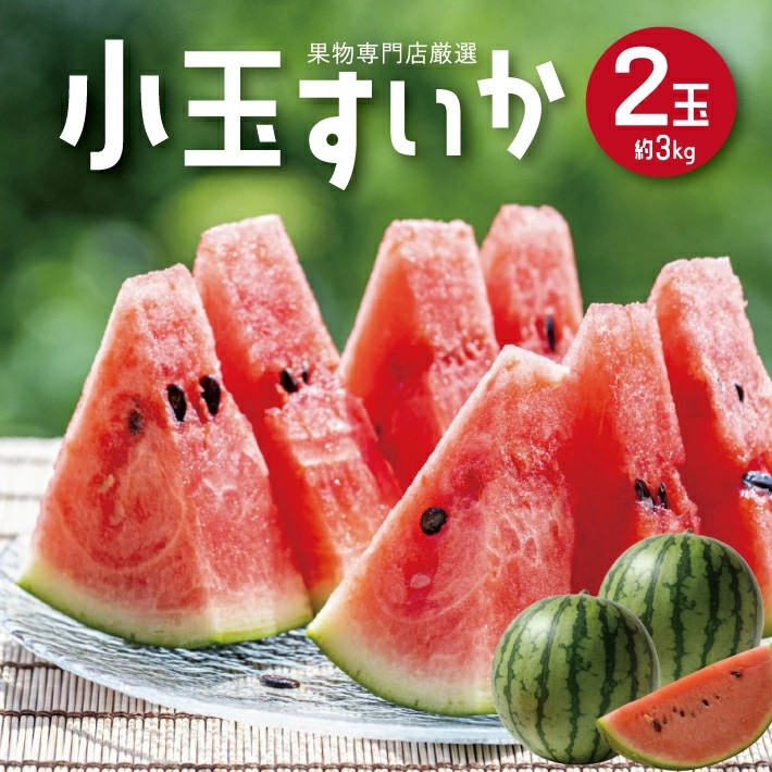 
            SA2562　酒田の果物専門店厳選　庄内産 小玉すいか　約3kg(2玉入)
          