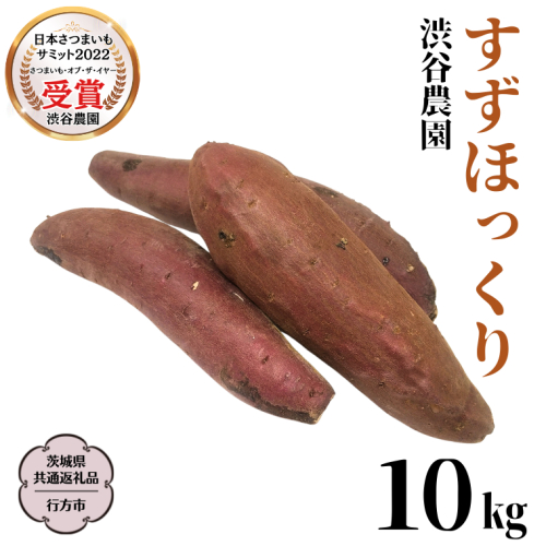 すずほっくり 約10kg 【茨城県共通返礼品／行方市】2024年11月から発送開始 渋谷農園 さつまいも  いも 芋 焼芋 [DT006sa]