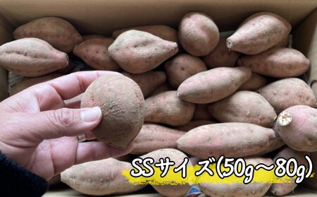 【  新物 ・ 先行予約中 】 まなつか農園の 種子島 安納いも  (生いも) SSサイズ 6kg　NFN550 【300pt】