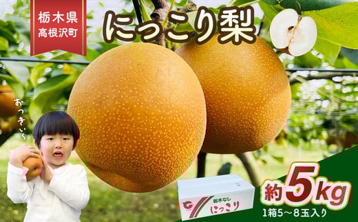 
            高根沢町産にっこり梨（約5kg・5～8玉入り） ※2025年10月中旬～11月中旬頃に順次発送予定 ※北海道・沖縄・離島への配送不可
          