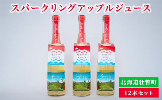 スパークリングアップルジュース12本セット ふるさと納税 人気 おすすめ ランキング 北海道 壮瞥 りんご アップル ジュース スパークリング 果汁 100％ 炭酸 飲料水 飲み物 贈り物 贈物 贈答 ギフト 大容量 詰合せ セット 北海道 壮瞥町 送料無料 SBTA020