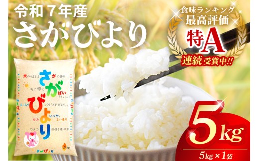 令和7年産 さがびより 5kg【さがびより 米 お米 ごはん ご飯 白米 精米 ブランド ランキング 特A米 県産米 美味しい】K082001