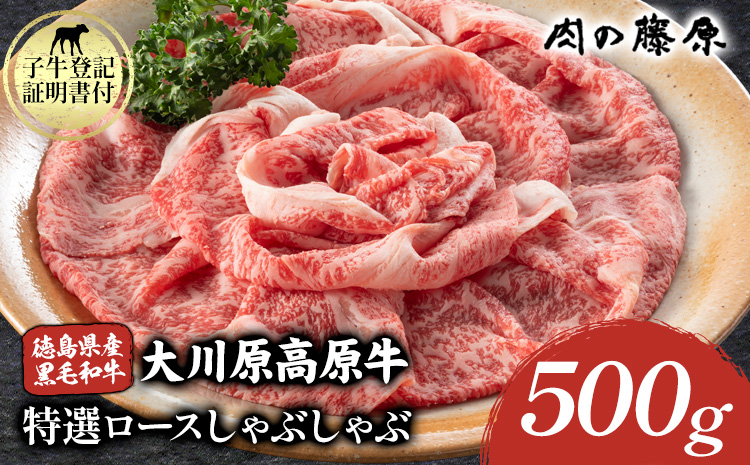 【年間10頭！】大川原高原牛 特選ロースしゃぶしゃぶ 500g 肉の藤原《30日以内に出荷予定(土日祝除く)》和牛 希少 佐那河内 さなごうち 大川原高原 牛肉 鍋 特選 ロース 贅沢 冷しゃぶ サラダ 牛丼 弁当 レシピ 冷凍 ギフト 贈答 s-23