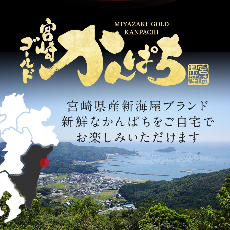 宮崎産 新海屋 鰤屋金太郎 宮崎ゴールドカンパチ フィレ 1.1kg〜1.3kg 半身 1枚　冷蔵　N018-ZB044_1