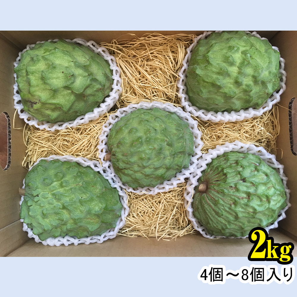 【2026年12月中旬から順次発送】アテモヤ 2kg “森のアイスクリーム”とも呼ばれる希少なフルーツ_イメージ4