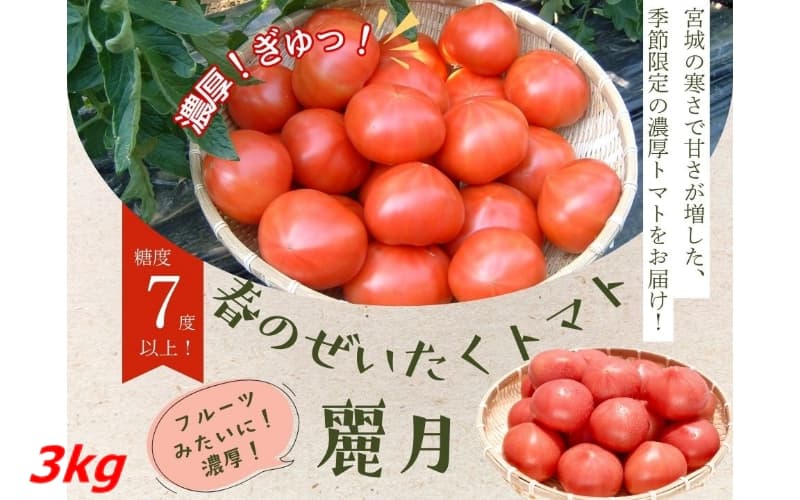 【糖度7度以上！】甘い★麗月トマト3ｋｇ / とまと 野菜 トマト【delf015】