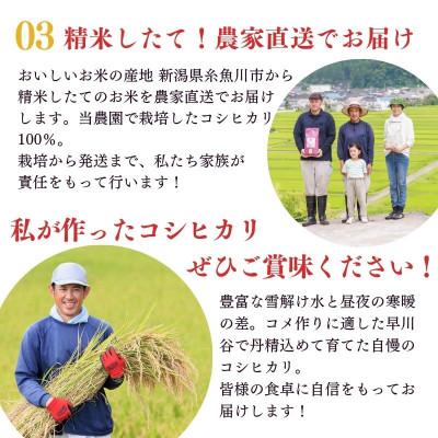 ふるさと納税 糸魚川市 令和6年産 新潟県産コシヒカリ 5kg NUKUMORI 白米 特別栽培米 農家直送 |  | 02