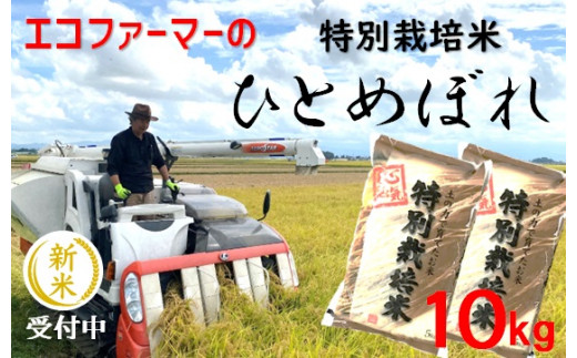 【令和6年産・精米】エコファーマーの特別栽培米ひとめぼれ10kg