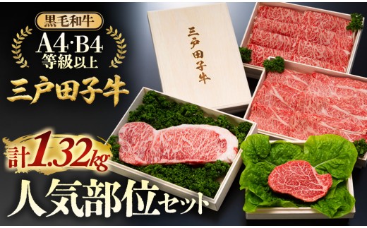 「三戸田子牛」黒毛和牛 人気部位セット1.32kg A4・B4等級以上 すき焼き ステーキ焼肉 青森県 三戸町 AP-19-012