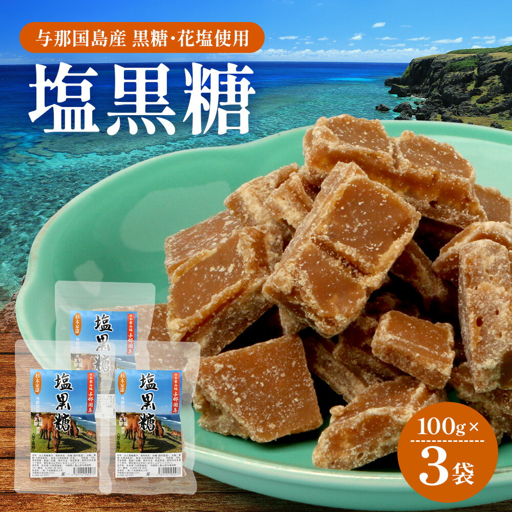 【ふるさと納税】与那国島 塩黒糖（100g）×3袋　A005｜沖縄県 与那国町 塩 海塩 黒糖 スィーツ