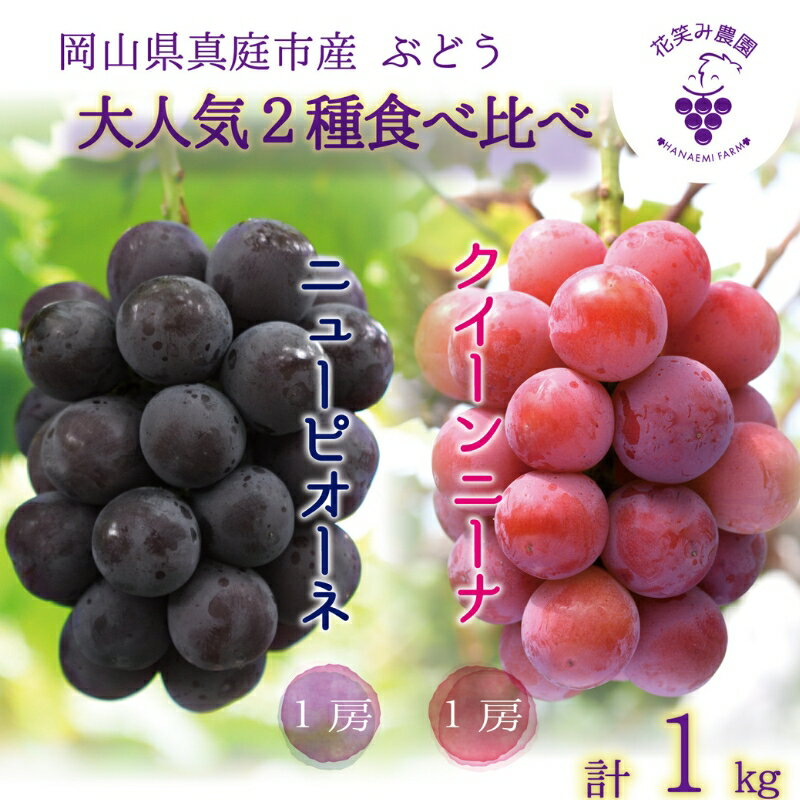 【ふるさと納税】 岡山　花笑み農園の『ニューピオーネ&クイーンニーナ』1kg(2房) PQ-1 hana31【2025年9月中旬〜順次発送】【配送不可地域：離島】真庭 国産 産地直送 フルーツ 葡萄 果物 贈答 ギフト 食べ比べ 甘い 濃厚 おすすめ 先行予約 人気【【1393968】