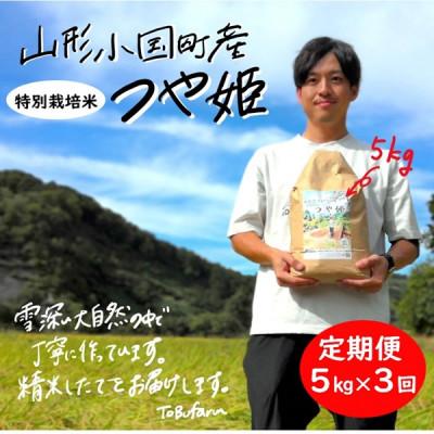 ふるさと納税 小国町 【毎月定期便】山形県小国町産つや姫(精米)　5kg　(有)東部開発全3回