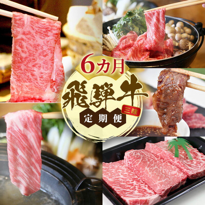 【ふるさと納税】飛騨牛 A5 大満足 飛騨牛三昧 6か月 定期便 ｜A5 ステーキ カレー もも肉 モモ肉 ロース 赤身 牛肉 和牛 国産 赤身 ブランド牛 お取り寄せ 人気 おすすめ 夜ご飯 お祝い お中元 お歳暮　お届け：12月中旬～1月初旬のお申込は1月中旬以降の順次出荷になる