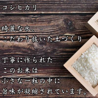 ふるさと納税 福知山市 精米コシヒカリ30kg 京都産 |  | 03