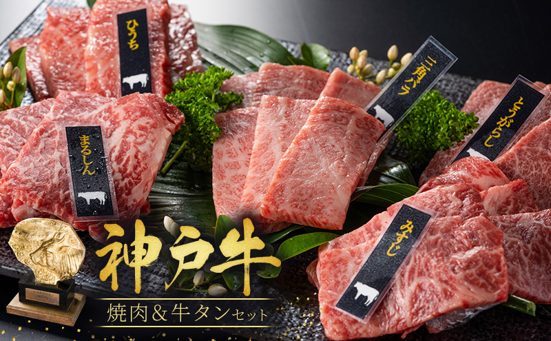 神戸牛 焼肉セット 3種 バラ もも 牛タン セット 計500g 牛肉 小分け