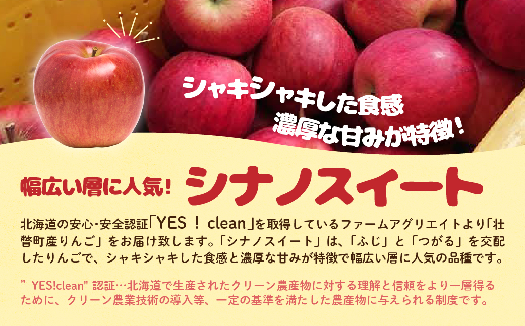 【先行予約】 シナノスイート 約5kg <2026年10月下旬頃～発送予定> SBTB013