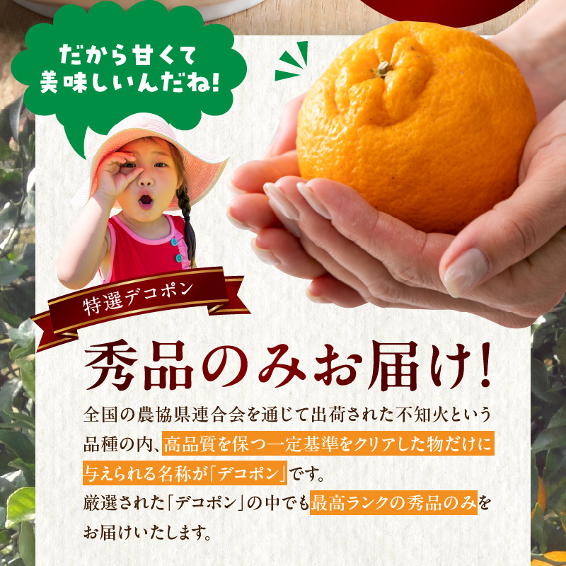 BD7008_【2026年先行予約】和歌山有田産 デコポン秀品のみ！ 2.5kg（9～12玉）_イメージ3