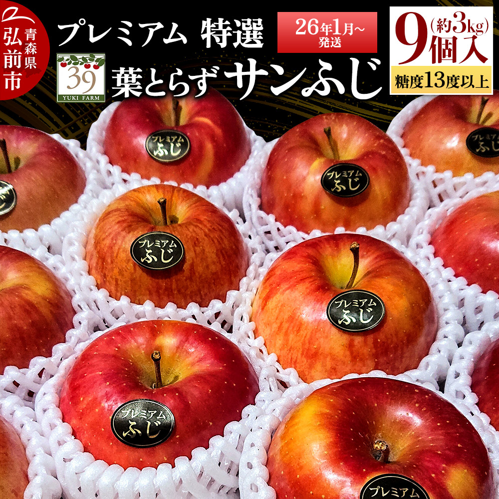 【26年1月～発送】りんご 【 数量限定 】糖度13度以上 「特選」 プレミアム 葉とらずサンふじ 約 3kg 9個入り