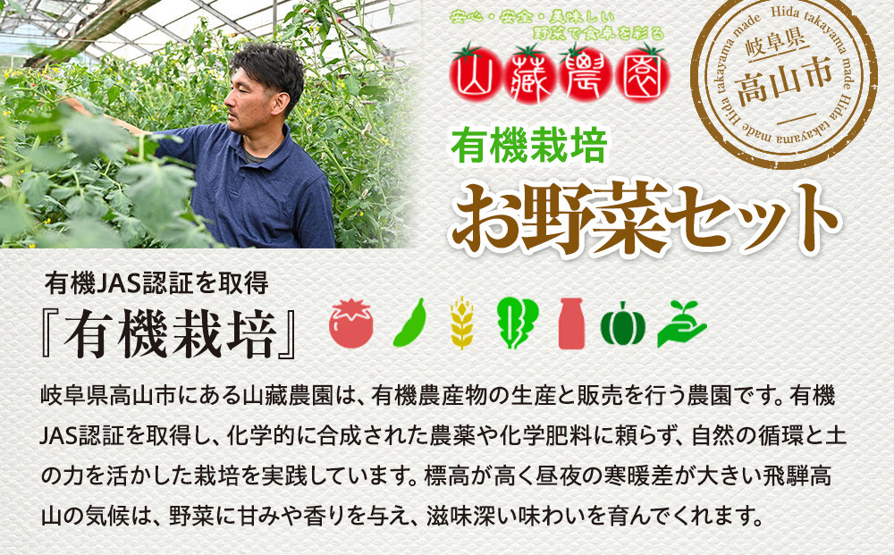 飛騨高山産 季節の有機栽培お野菜セット（お試し）お届け：6月〜10月｜お試し 新鮮  有機野菜 旬野菜 地元野菜 やさい 農園 高山市 山藏農園 JC021