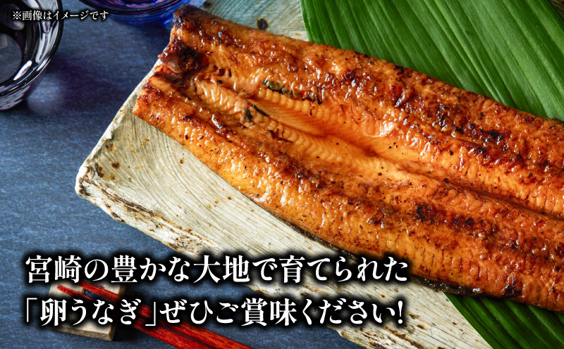 「卵うなぎ」備長炭手焼蒲焼 4尾(計1000g) うなぎ 蒲焼 国産