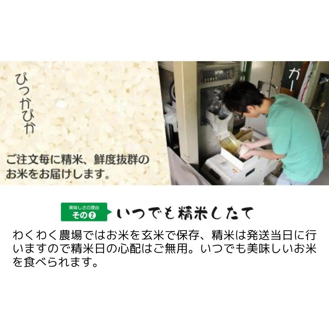【先行予約】令和8年産 新之助 10kg(5kg×2袋) わくわく農場 | 新潟県 五泉市 新之助