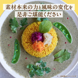 魚介のグリチリカレー_有明名産 漬けあみ グリーンカレー 180g × 5パック 和製 コク深い 鼻から抜ける爽やかな辛さ カレー カレーライス 時短 レトルト 食品 加工品 肉加工品 惣菜 福岡県 