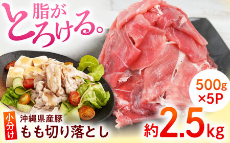 切り落とし 沖縄県産豚肉 もも切り落とし 約2.5kg (500g×5P)  BCAJ013 豚肉