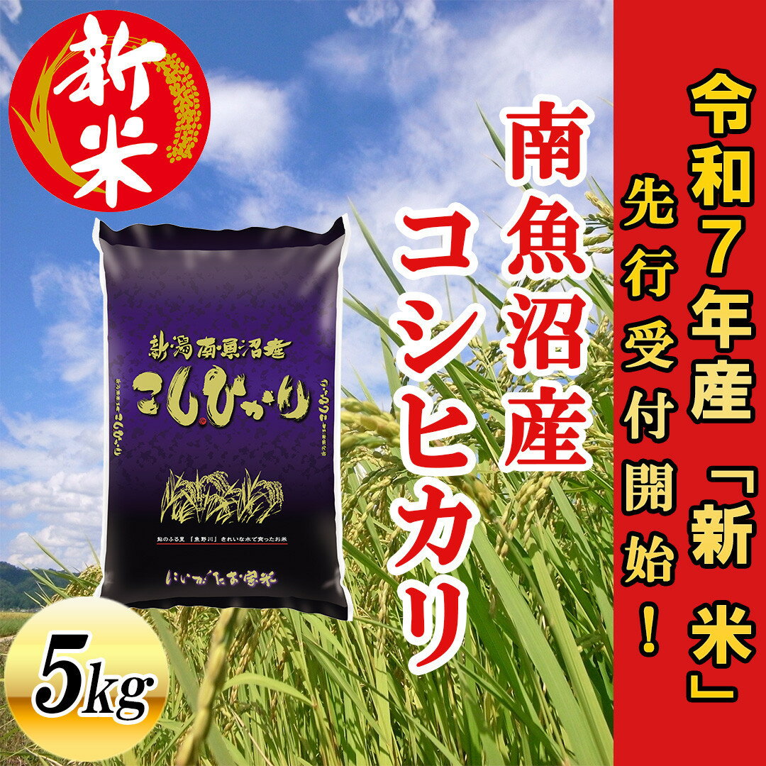 【ふるさと納税】【令和7年産新米先行予約】南魚沼産コシヒカリ5kg【2025年10月下旬より順次発送予定】 | 送料無料 新米 魚沼産 コシヒカリ 魚沼 新潟 こしひかり 新潟県産 白米 精米 米 お米 産直 産地直送 お取り寄せ