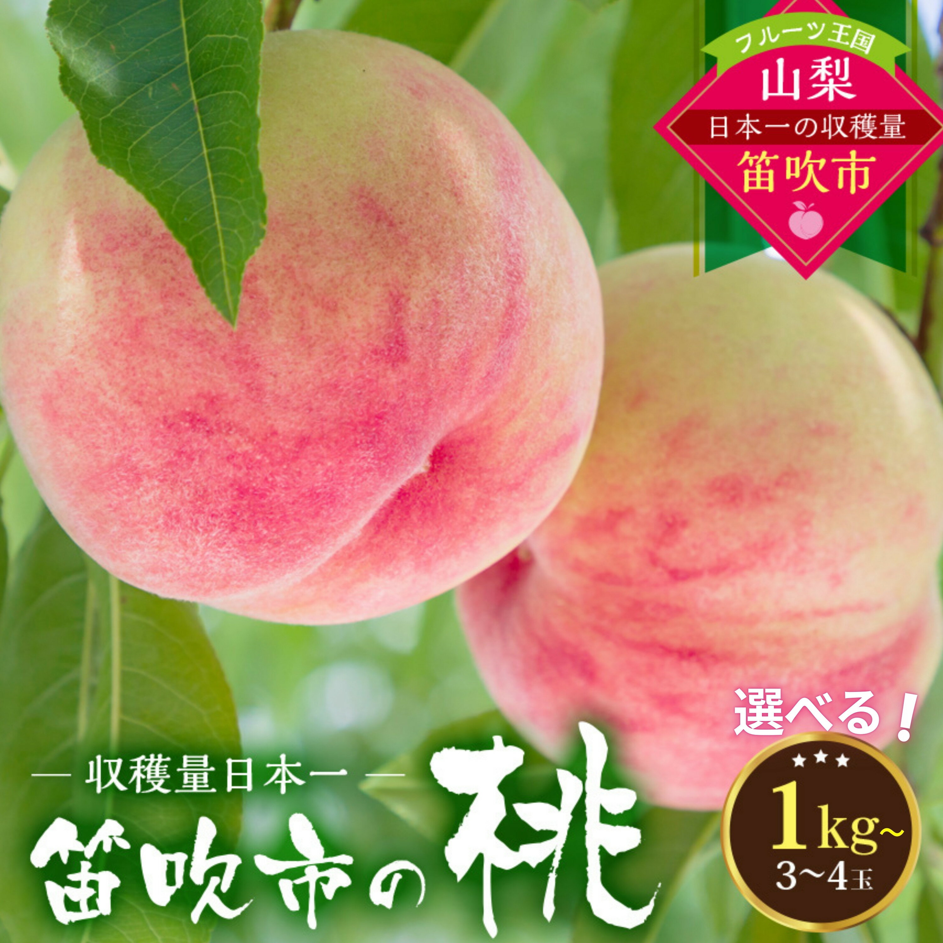 【ふるさと納税】【2026年発送★先行予約】桃の一大産地！笛吹市産旬の桃 【えらべる容量】ふるさと納税 もも 桃 笛吹市 国産 人気 期間限定 果物 フルーツ 旬 山梨県 送料無料 167-001