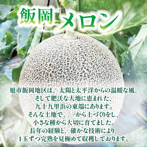 【2024年先行受付分】飯岡メロン(青肉)大玉5L(約1.7kg)2玉入【1372529】