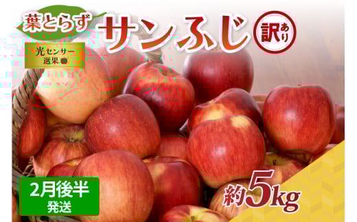 【2026年2月後半発送】【訳あり】青森県産葉とらずサンふじりんご約5kg