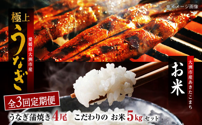 【全3回定期便】国産うなぎ！秘伝のタレで焼き上げた「うなぎ蒲焼き 4尾」と地元生産者こだわりの「お米 5kg」セット　愛媛県大洲市/有限会社 樽井旅館 [AGAH009]鰻 うな重 ひつまぶし 土用の丑の日 鰻重 ウナギ うな丼 鰻丼 うなぎ丼 お米 おにぎり 白米 ごはん ご飯 白ごはん