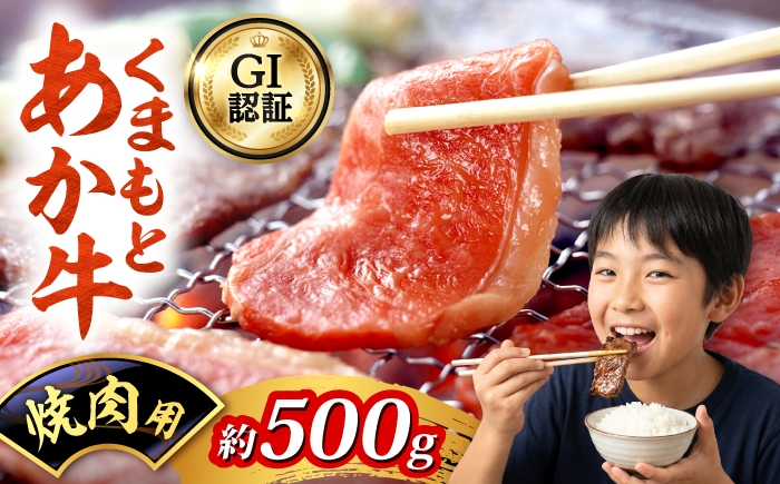 
                  GI認証 くまもとあか牛 焼肉用 約500g 和牛 牛肉 焼肉 冷凍 赤牛 【阿蘇牧場】 [AYBX106]
                