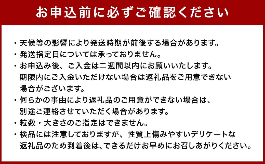 大玉すいか 2玉 3L以上 約16kg