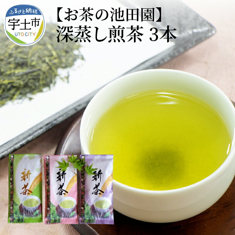 【ふるさと納税】 お茶の池田園 深蒸し煎茶100g×3本【熊本県宇土市】
