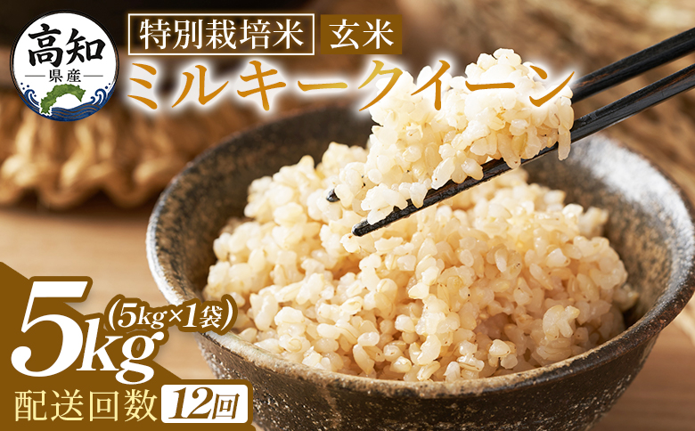 ミルキークイーン 定期便 玄米 ５ｋｇ 令和８年産 12回 特別栽培米  定期便 国産 精米 米 お米 ご飯 ごはん おにぎり おむすび 炊き込みご飯 高知県 香南市 常温 Wsr-0013