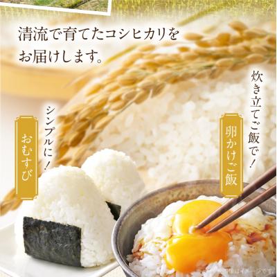 ふるさと納税 天草市 天草市方原産　白米(コシヒカリ)5キロ【先行受付】_S150-003 |  | 02