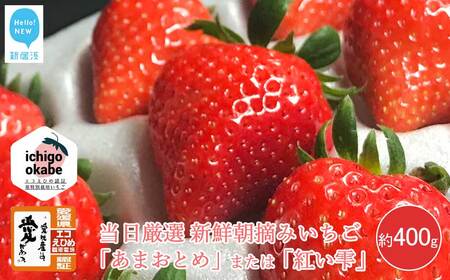【先行予約】いちご 「あまおとめ」 または 「紅い雫」 約400g  ichigo okabe 【期間限定】【3月頃より発送】