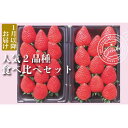 【ふるさと納税】 【 予約受付 】 いちご 約560g （ 約280g × 2P ） 食べ比べ 2品種 選べる発送月 かおり野 よつぼし 紅ほっぺ 恋みのり 苺 ストロベリー 産地直送 ご当地 果物 くだもの フルーツ デザート 朝どれ 完熟 食品 冷蔵 げんき農場 埼玉県 羽生市