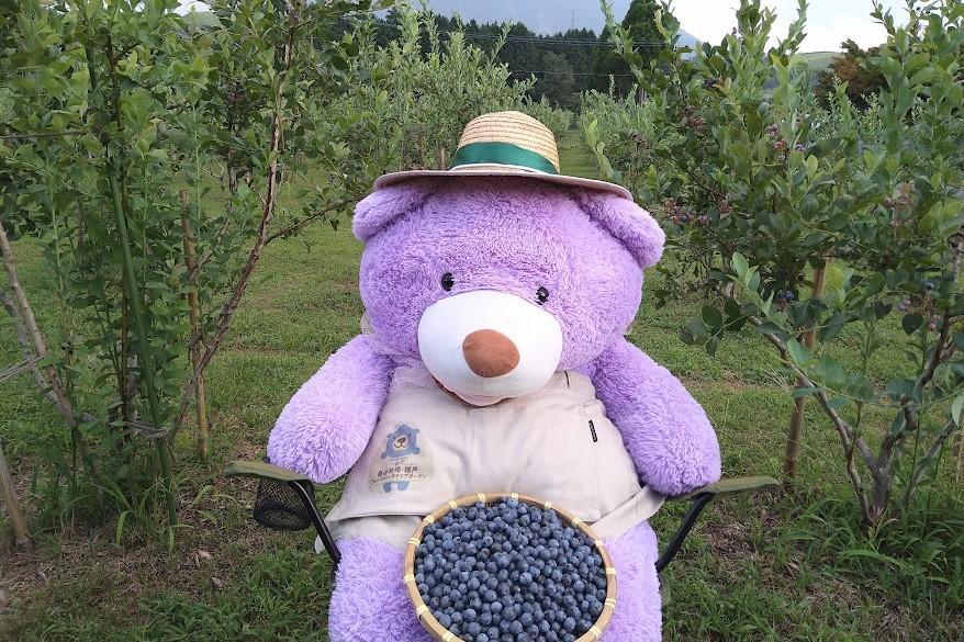 【母の日】【湯布院 熊谷牧場・雛戸】無農薬で育てたくまさんのブルーベリーソース 4本セット