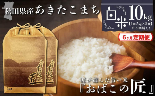 
【６ヶ月定期便】秋田県産おばこの匠あきたこまち　10kg （5kg×2袋）白米
