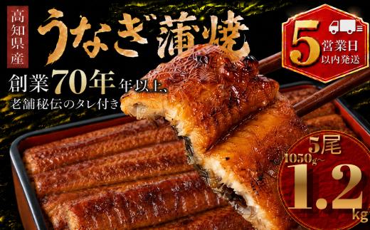 【スピード発送】 【日時指定 可能】 高知県産 うなぎ 蒲焼 5尾 | 国産 日本産 うな重 鰻 ウナギ 有頭 蒲焼き かばやき 土用丑の日 土用の丑の日 丑の日 魚 高級 贅沢 特別 老舗 初音 釜めし初音 鰻蒲焼 タレ付き タレ 贈答 お取り寄せ 冷凍 うな重 ギフト 贈り物 お祝い プレゼント ご褒美 人気 おすすめ 湯煎 簡単 調理 おかず お手軽 ご当地 グルメ 高知県 南国市