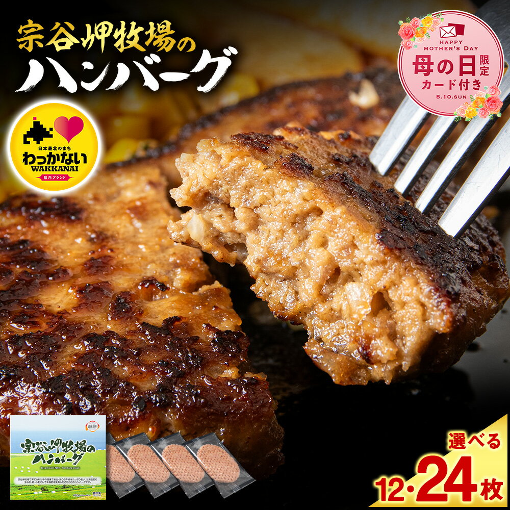 宗谷岬牧場のハンバーグ 稚内ブランド認定品 120g4枚入×3箱(合計12枚)