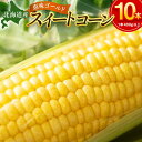 【ふるさと納税】【先行予約】【数量限定】 北海道産 スイートコーン 10本 入 | とうもろこし スイートコーン 恵味ゴールド イエローコーン 北海道産北海道ふるさと納税 美唄 ふるさと納税 北海道【配送不可地域：沖縄（離島含む）】